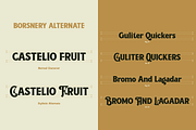 Borsnery, a Serif Font by Amera Type (Thumbnail 4 of 10)