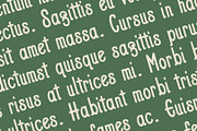 Chic Serenity - Serif Font Type, a Script Font by ArtiXLabs (Thumbnail 9 of 11)