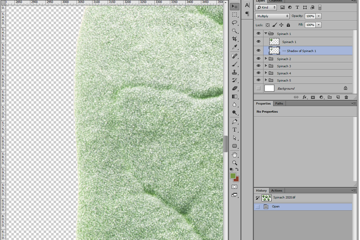 Spinach from above, an Object Graphic by Hortimages (Photo 2 of 2)