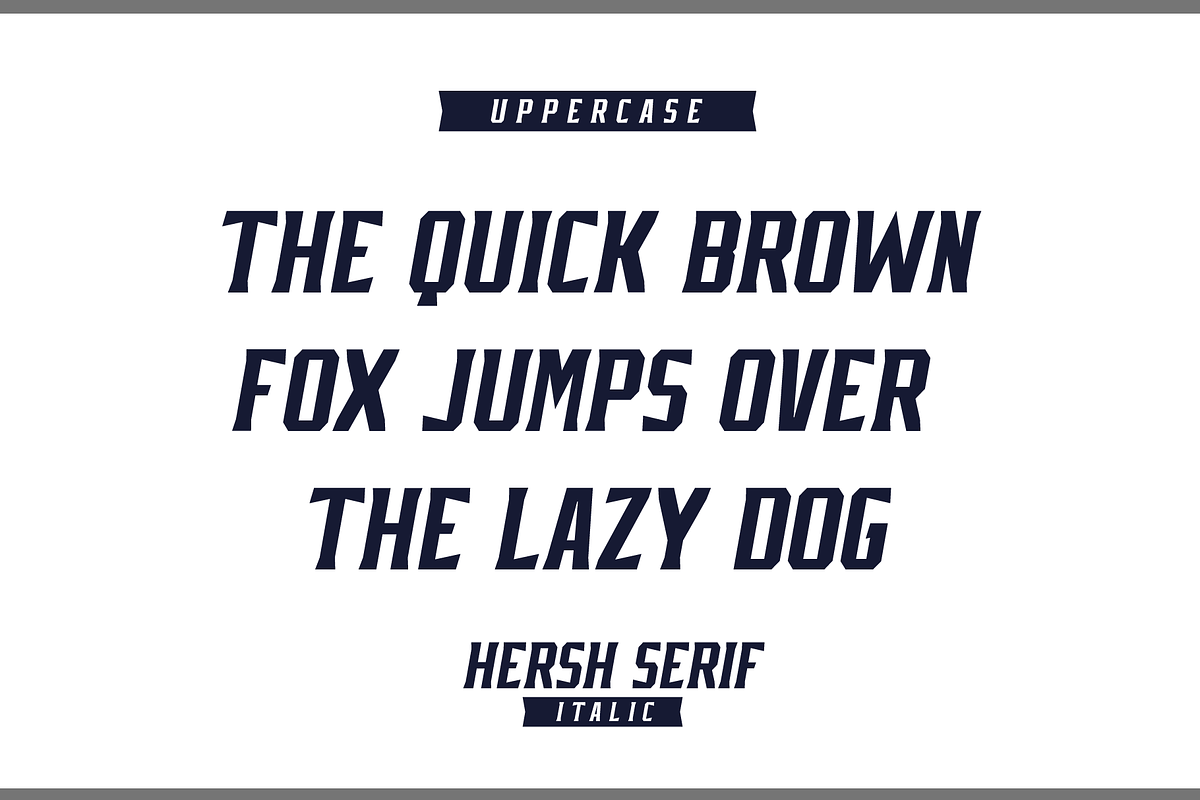 HERSH SERIF FONT FAMILY, a Serif Font by Alphabet Agency (Photo 5 of 14)