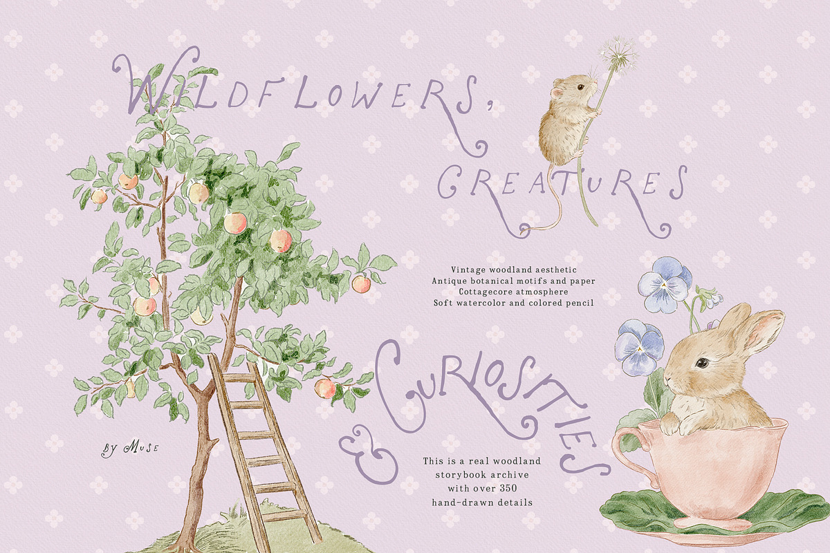 Bramblewood Tales Woodland Clipart, a Decorative Illustration by Muse Artist (Photo 2 of 29)