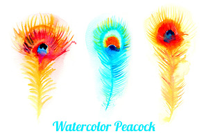 Watercolor Peacock