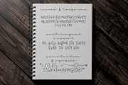 Leaves and Twigs font trio & extras, a Script Font by Ana's Fonts (Thumbnail 4 of 17)
