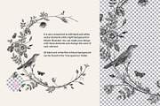 Wild Roses, a Decorative Illustration by olga.korneeva (Thumbnail 23 of 24)