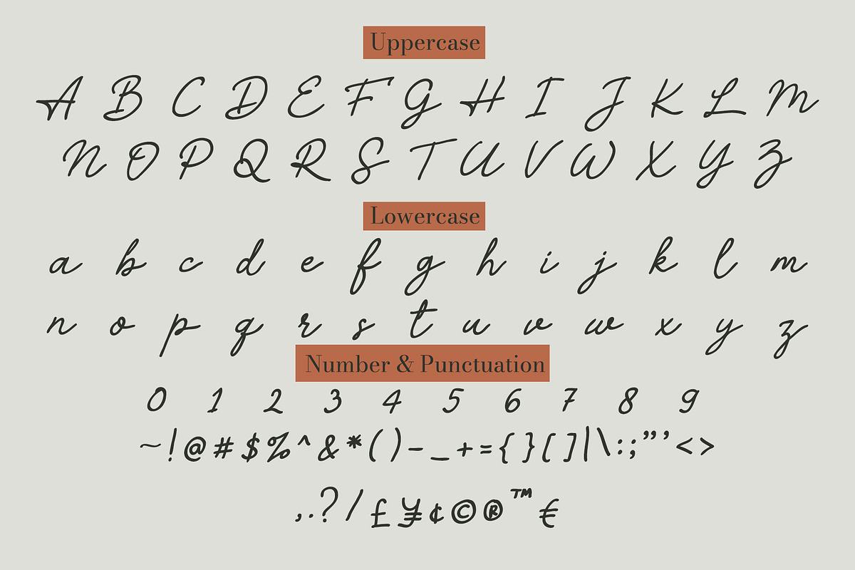 Alacati - Elegant Handwritten Script, a Handwritten Font by Mockmenot (Photo 4 of 6)