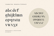 Wilkista - Ligature Typeface, a Serif Font by Graphicxell (Thumbnail 14 of 18)