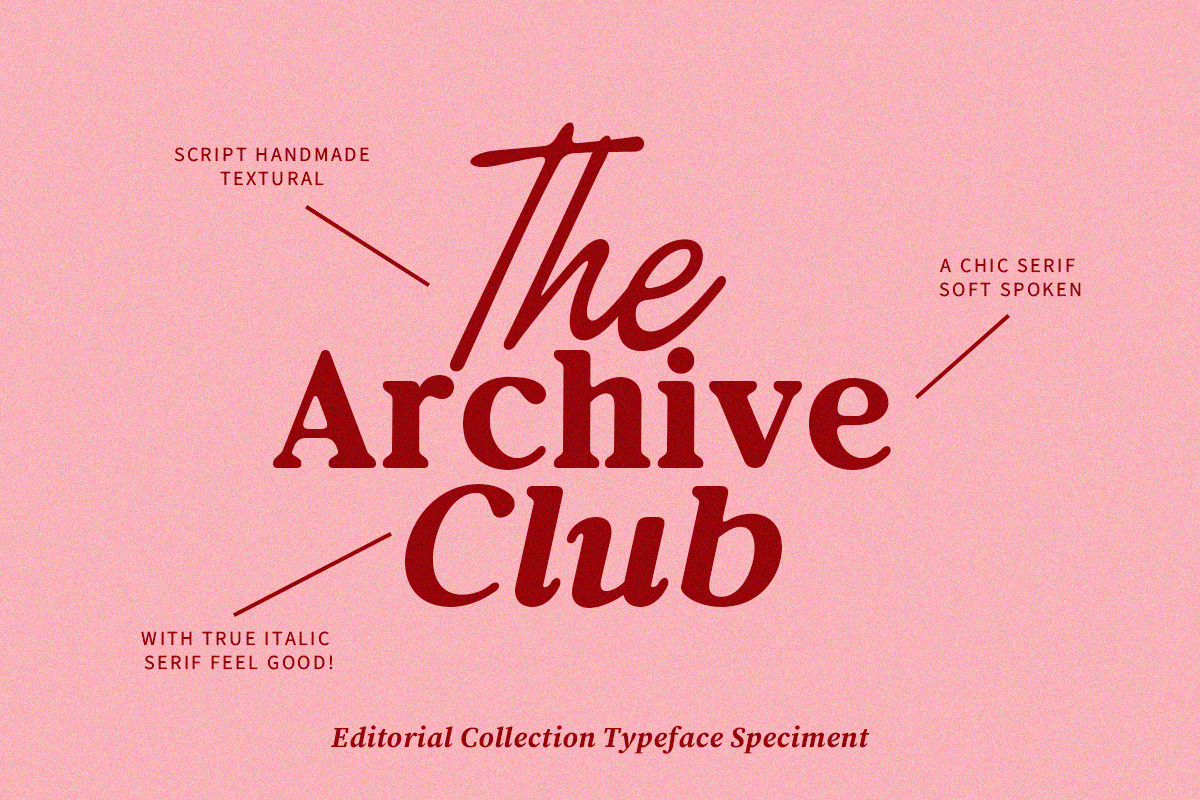 Editorial Collection Font Duo, a Script Font by Letter Fresh (Photo 9 of 10)