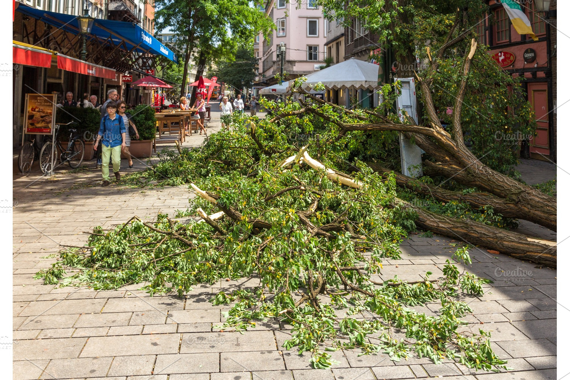 DUSSELDORF, GERMANY - JUNE 10: Uprooted tree in the city center, a Nature Photo by Leonid Andronov