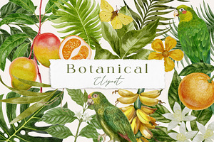 Vintage Botanical clipart