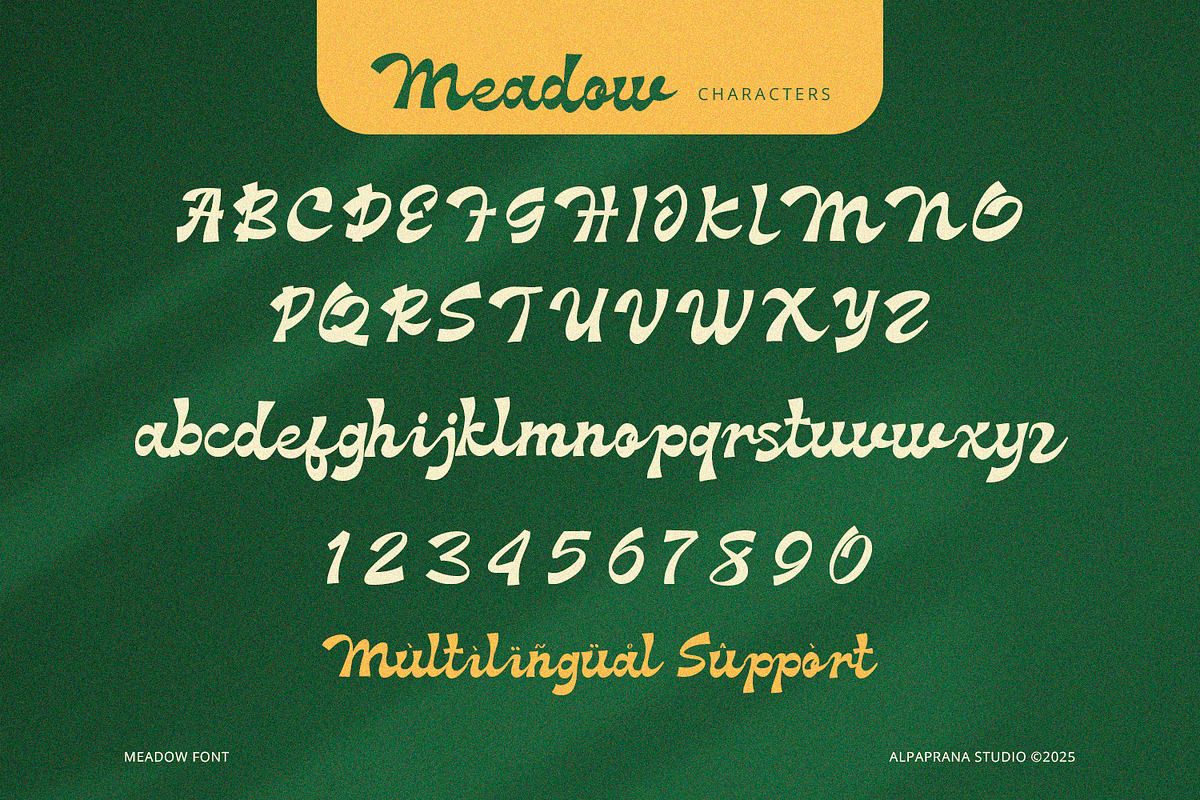 Meadow - Groove Script Font, a Script Font by Alpaprana (Photo 8 of 9)