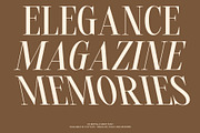 CS Beffalo – Elegant Serif Font, a Serif Font by Craft Supply Co. (Thumbnail 3 of 8)