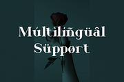 Emerald - Business Font, a Serif Font by RockboyStd (Thumbnail 8 of 12)