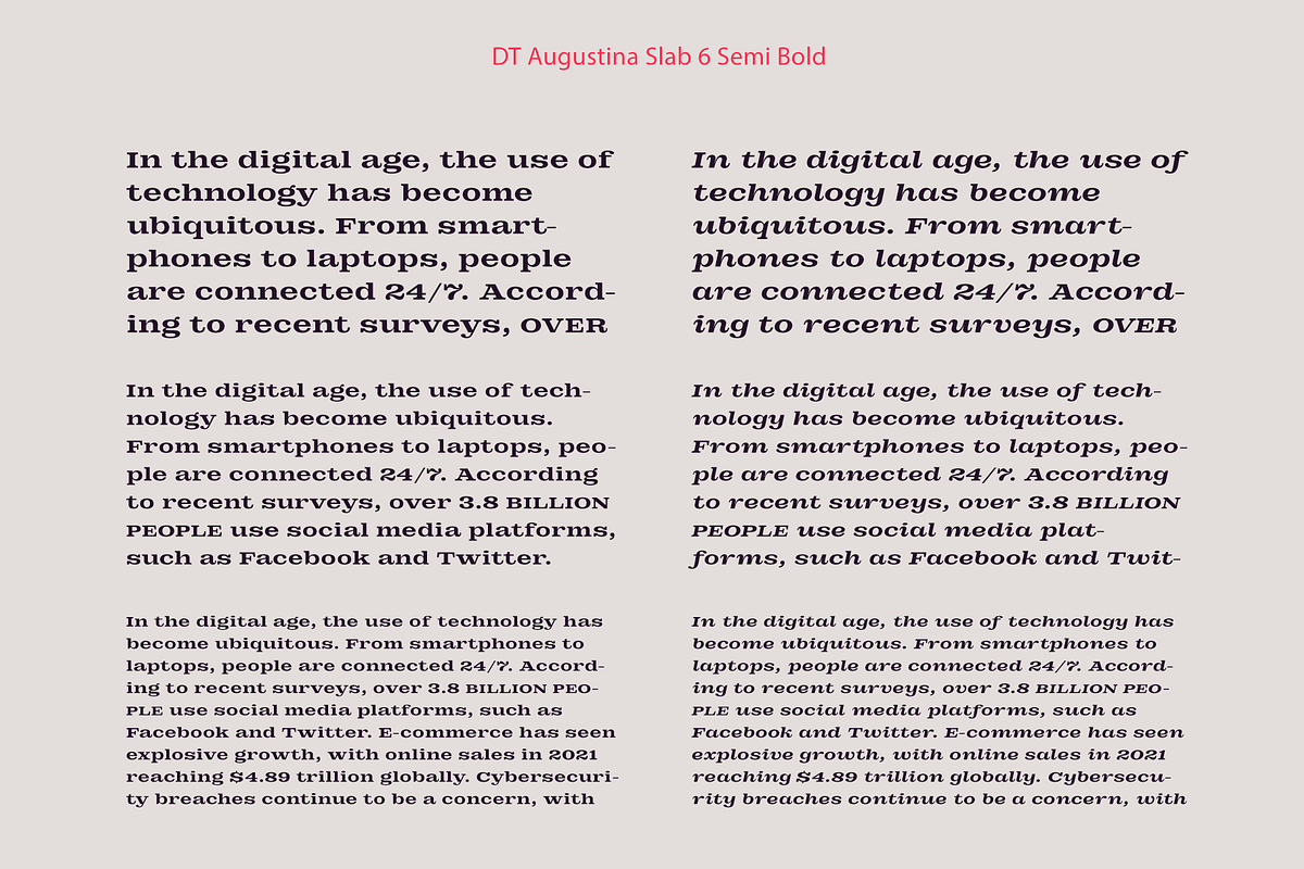 DT Augustina Slab 6 Subfamily, a Slab Serif Font by Deveze Type Foundry (Photo 12 of 30)