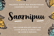 Organika Serif, a Serif Font by Mika Melvas (Thumbnail 6 of 9)