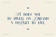 Monycha — Modern Serif Script, a Serif Font by Almeera Std (Thumbnail 4 of 10)