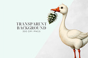 Silly Goose Winter Clipart PNG, an Object Graphic by Printable Pretty Studio (Thumbnail 4 of 5)