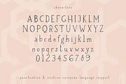 Honeywell Serif Font, a Handwritten Font by Beck McCormick (Thumbnail 10 of 10)