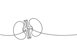 Kidneys one line continuous drawing, a Healthcare Illustration by GraphiShop