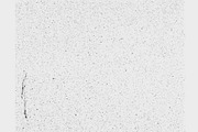 Texture Pack Vol. 4 Subtle Textures, a Texture Graphic by BRNK (Thumbnail 2 of 6)