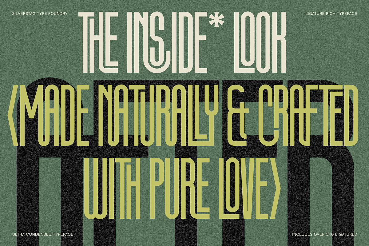 First Contact - 16 Fonts in One Pack, a Sans Serif Font by SilverStag Type Foundry (Photo 27 of 30)