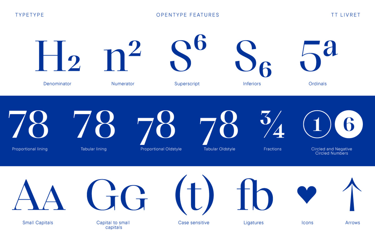 TT Livret, a Serif Font by TypeType (Photo 10 of 15)