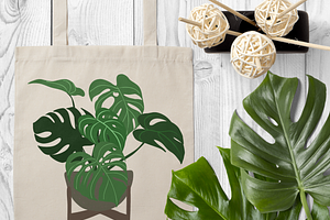 Indoor Plants, Vector Set