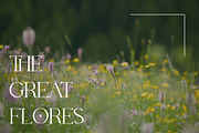 Thoca -New Modern Typface, a Serif Font by AnnofaType (Thumbnail 4 of 8)