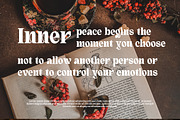 Quivert - Serif Display Font, a Serif Font by Dhabee (Thumbnail 10 of 17)