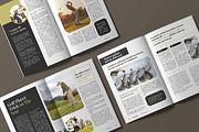 White Golf Sport Magazine Template, a Magazine Template by UICreative (Thumbnail 5 of 5)