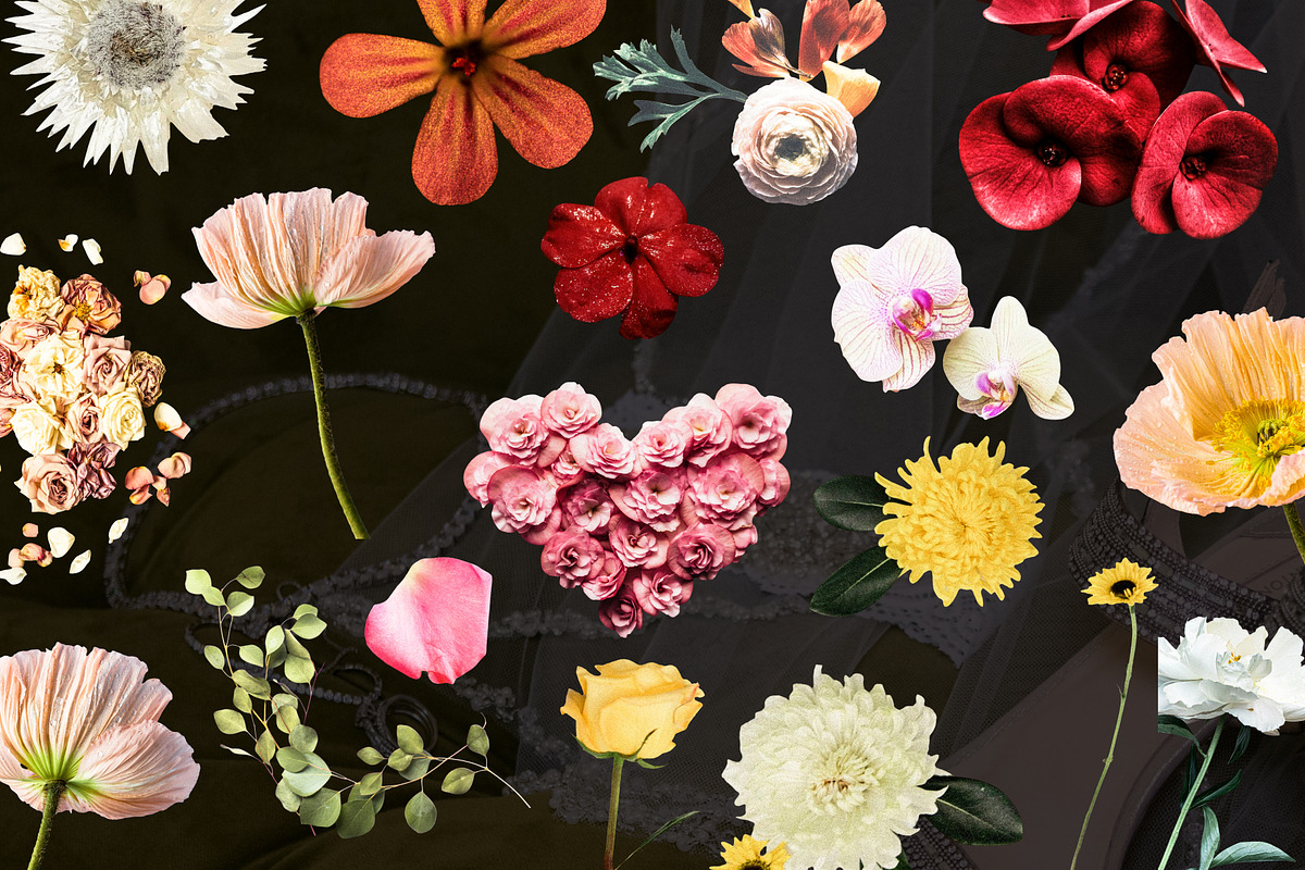 Analog Wedding Collage Kit, an Object Graphic by Anzhelika (Photo 8 of 12)