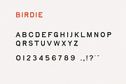 Birdie | Vintage Print Font, a Handwritten Font by Taylor Penton (Thumbnail 6 of 6)