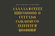 Casson - Display Serif Font, a Serif Font by Aqeel_Art (Thumbnail 9 of 9)