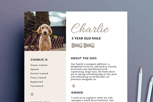 Pet Rental Application Resume, a Flyer Template by Climbwithelevator