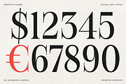 Figo Shiftz, a Serif Font by Propertype (Thumbnail 2 of 13)