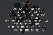 MYSTIQ mysterious display font, a Serif Font by Fat Hamster (Thumbnail 10 of 16)