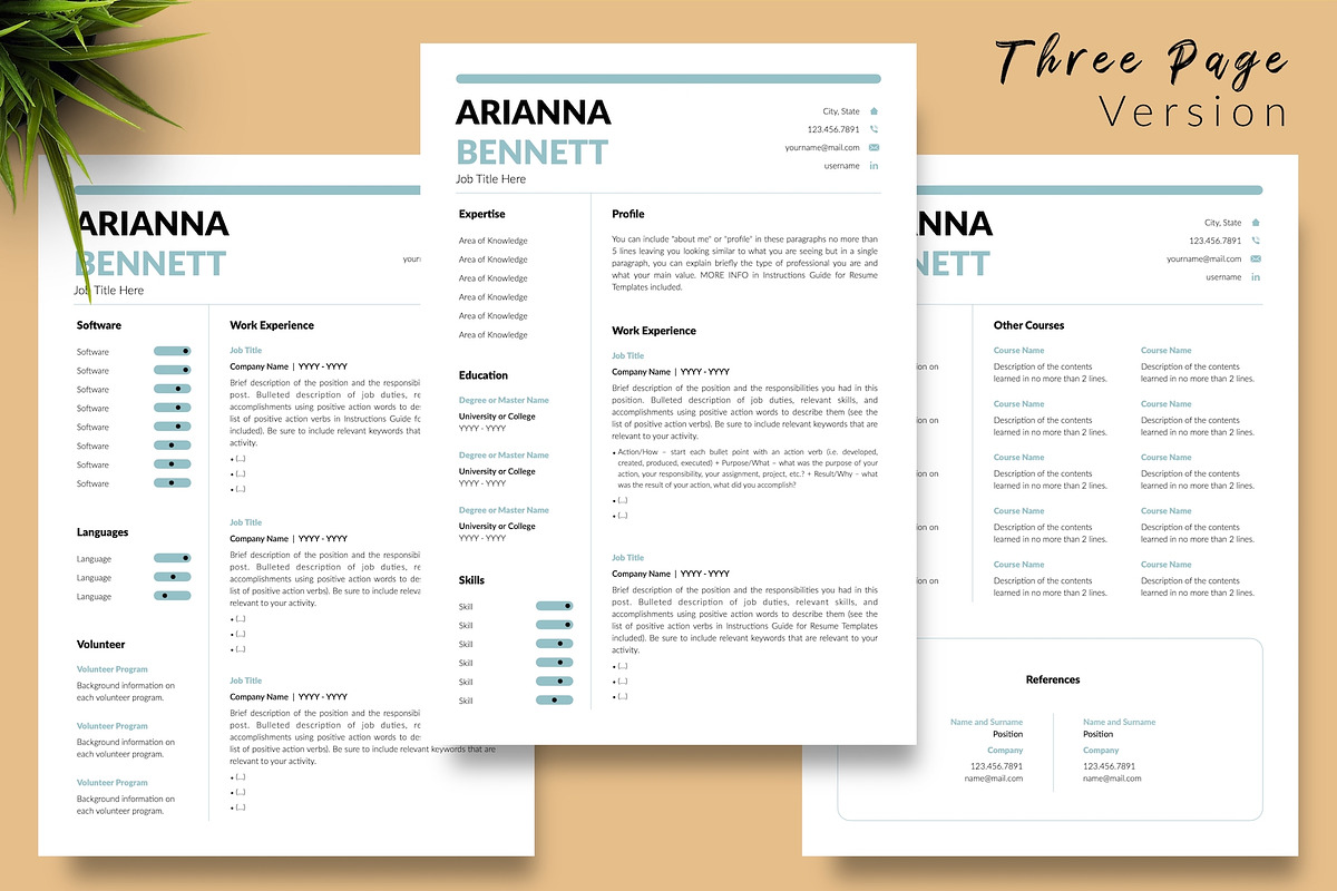 Simple Resume Bundle - Arianna, a Resume Template by Templates Design Co. (Photo 4 of 17)