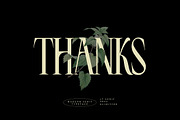 LT Serif - Modern Serif Font, a Serif Font by limitype (Thumbnail 9 of 9)