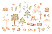 Cute Woodland Friends Collection, an Animal Illustration by MayaNavits (Thumbnail 5 of 12)