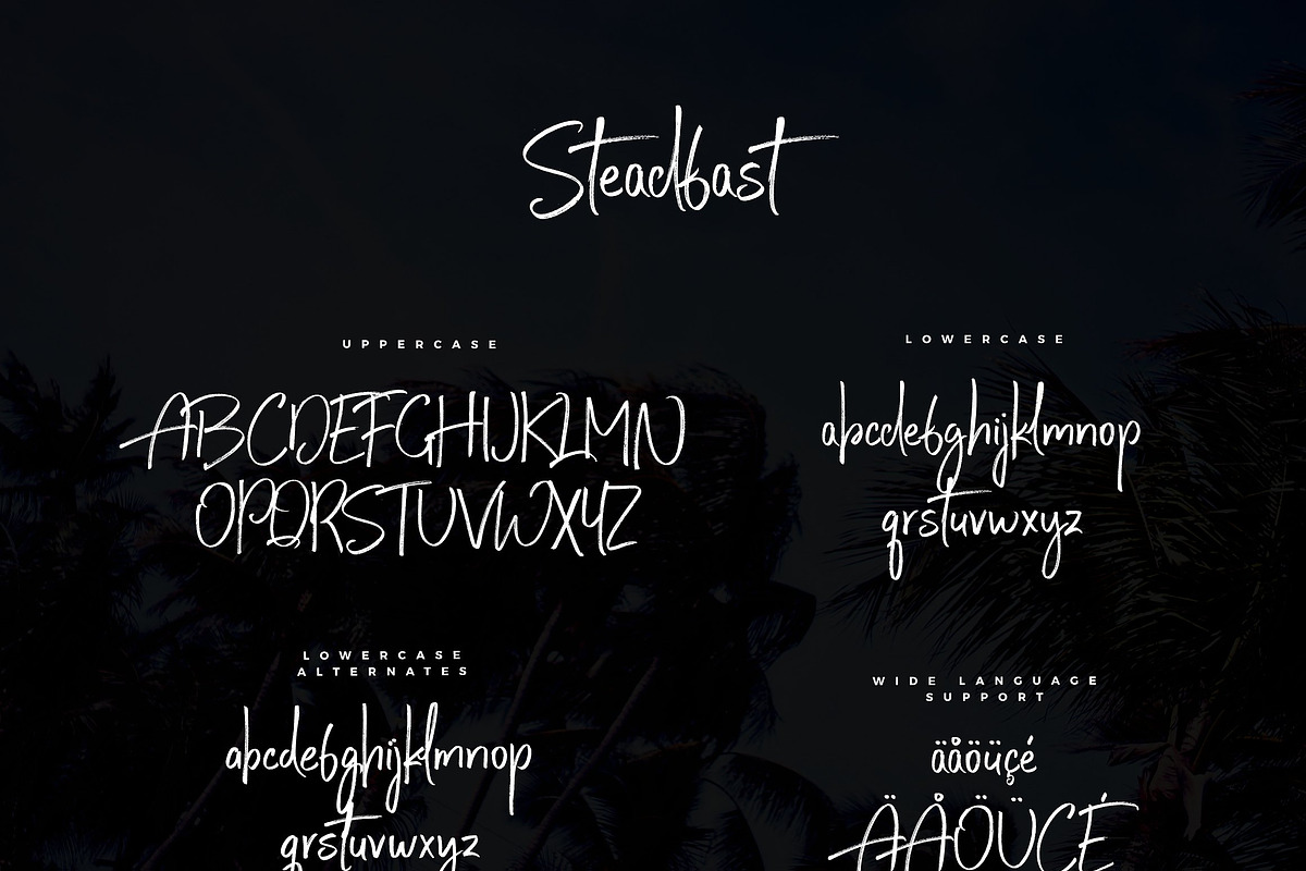 Typographer's Dream Box + 200 Logos, a Script Font by Mats-Peter Forss (Photo 79 of 130)