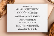 Chlive || Modern Sans Serif Font, a Sans Serif Font by Idea Studio (Thumbnail 10 of 10)