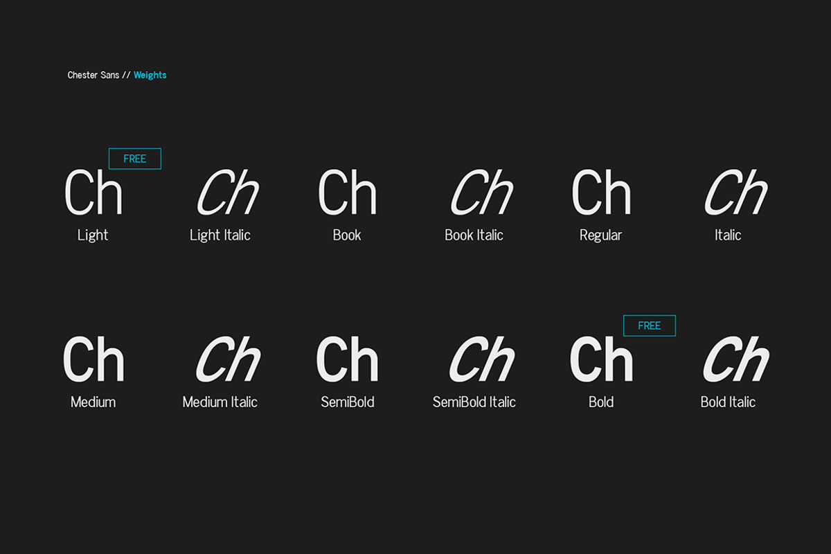Chester Sans - Type Family preview 2