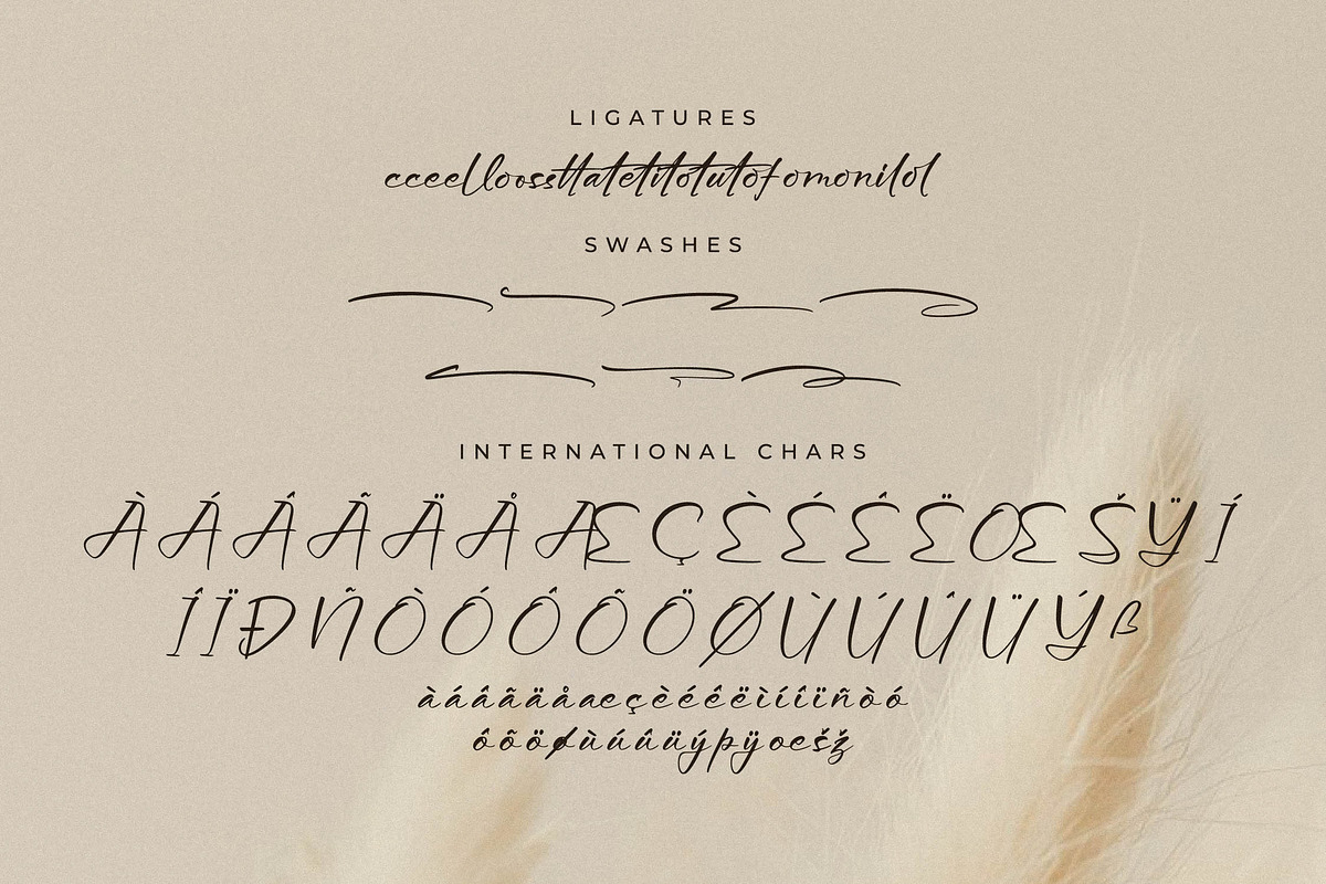 Aurora Magnollia Font Duo, a Serif Font by Storytype Studio (Photo 14 of 15)