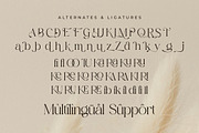Aurora Magnollia Font Duo, a Serif Font by Storytype Studio (Thumbnail 12 of 15)