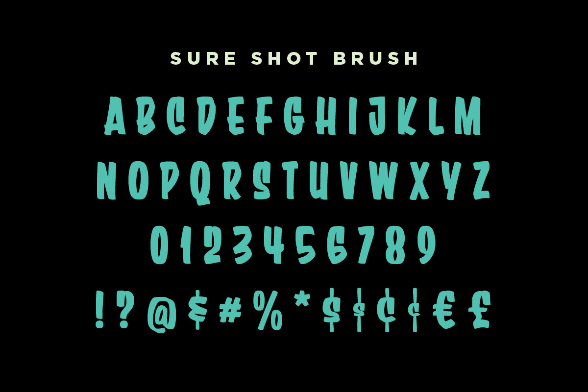 Sure Shot Casual Brush Script, a Script Font by Price Foundry (Photo 2 of 29)