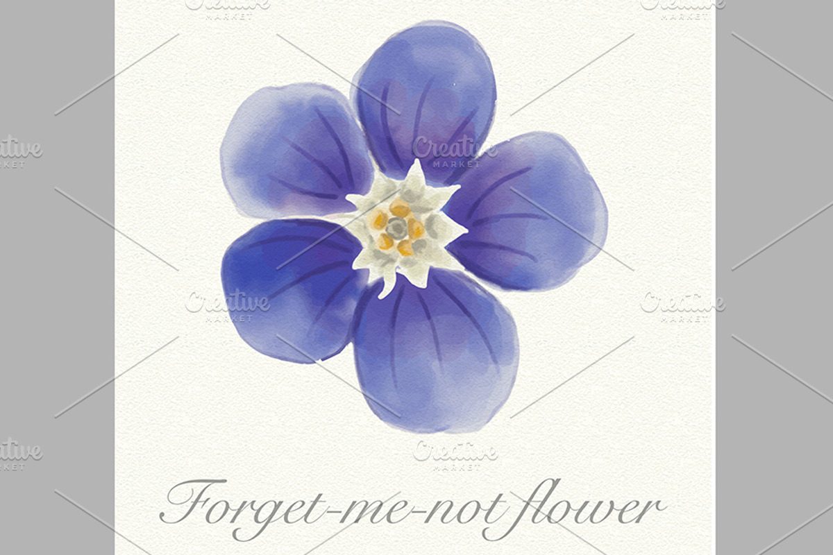 Blue watercolor forget-me-not flower, a Decorative Illustration by María Arencibia