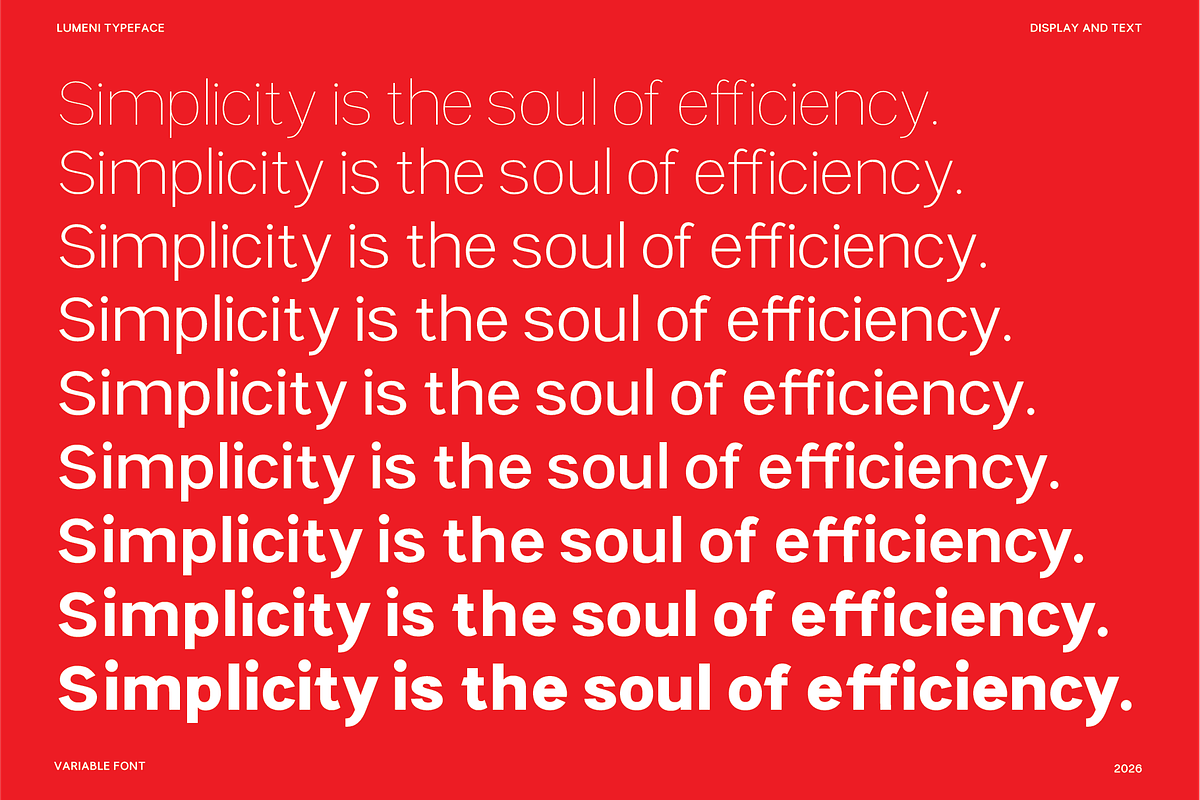 Lumeni Variable Font, a Sans Serif Font by aquene (Photo 3 of 10)
