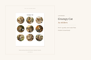 Grumpy Cat Illustrations, 29, an Animal Illustration by LanternkinStudio (Thumbnail 4 of 14)
