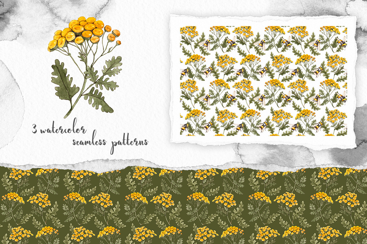 Thistle tansy bumblebees watercolor, an Illustration by Alamella (Photo 3 of 5)