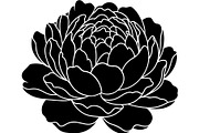 Peony Flower Silhouette, an Object Graphic by Designer_Momina (Thumbnail 8 of 18)