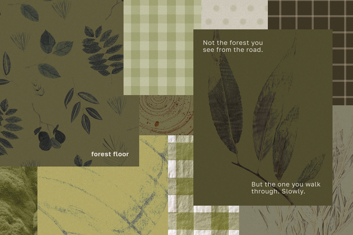 Forest floor nature backgrounds, a Background Graphic by viktoriiavk (Photo 8 of 8)